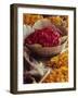 Close-Up of a Basket of Red Flowers, with Yellow Flowers, in the Market, Jaipur, Rajasthan, India-Michelle Garrett-Framed Photographic Print