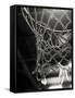 Close-up of a Basketball Net-null-Framed Stretched Canvas