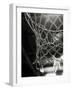 Close-up of a Basketball Net-null-Framed Premium Photographic Print