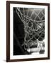 Close-up of a Basketball Net-null-Framed Photographic Print