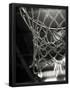 Essential Black