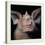Close-Up of a Bat's Face-null-Stretched Canvas