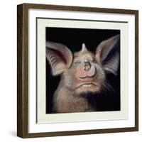 Close-Up of a Bat's Face-null-Framed Giclee Print