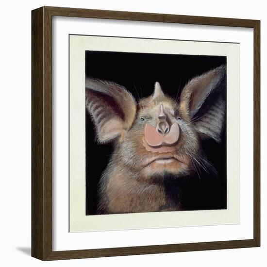 Close-Up of a Bat's Face-null-Framed Giclee Print