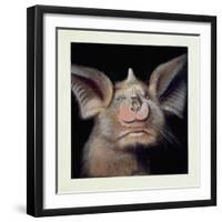 Close-Up of a Bat's Face-null-Framed Giclee Print