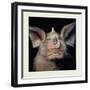 Close-Up of a Bat's Face-null-Framed Giclee Print