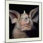 Close-Up of a Bat's Face-null-Mounted Giclee Print