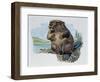 Close-Up of a Beaver Sitting-null-Framed Giclee Print