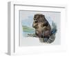 Close-Up of a Beaver Sitting-null-Framed Giclee Print