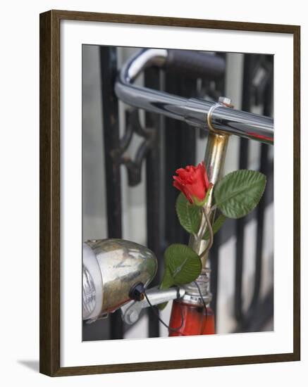 Close Up of a Bicycle with a Rose for Decoration, Amsterdam, Netherlands, Europe-Amanda Hall-Framed Photographic Print