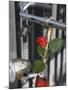 Close Up of a Bicycle with a Rose for Decoration, Amsterdam, Netherlands, Europe-Amanda Hall-Mounted Photographic Print