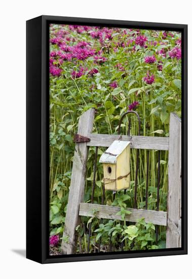 Close-up of a birdhouse on a rustic fence in a flower garden, Marion County, Illinois, USA-Panoramic Images-Framed Stretched Canvas