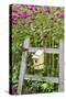 Close-up of a birdhouse on a rustic fence in a flower garden, Marion County, Illinois, USA-Panoramic Images-Stretched Canvas