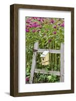 Close-up of a birdhouse on a rustic fence in a flower garden, Marion County, Illinois, USA-Panoramic Images-Framed Photographic Print
