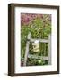 Close-up of a birdhouse on a rustic fence in a flower garden, Marion County, Illinois, USA-Panoramic Images-Framed Photographic Print