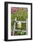 Close-up of a birdhouse on a rustic fence in a flower garden, Marion County, Illinois, USA-Panoramic Images-Framed Photographic Print