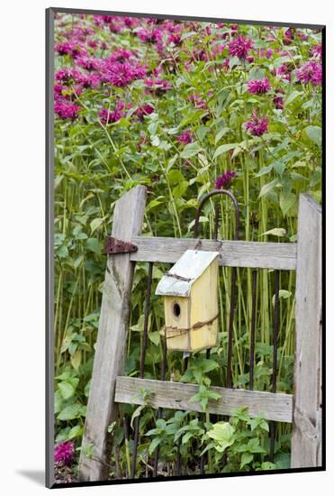 Close-up of a birdhouse on a rustic fence in a flower garden, Marion County, Illinois, USA-Panoramic Images-Mounted Photographic Print