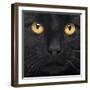 Close-Up Of A Black Cat-Life on White-Framed Art Print