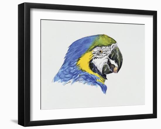 Close-Up of a Blue-And-Yellow Macaw (Ara Ararauna)-null-Framed Giclee Print