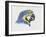 Close-Up of a Blue-And-Yellow Macaw (Ara Ararauna)-null-Framed Giclee Print