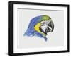 Close-Up of a Blue-And-Yellow Macaw (Ara Ararauna)-null-Framed Giclee Print