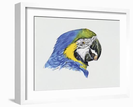 Close-Up of a Blue-And-Yellow Macaw (Ara Ararauna)-null-Framed Giclee Print