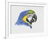 Close-Up of a Blue-And-Yellow Macaw (Ara Ararauna)-null-Framed Giclee Print