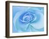 Close-Up of a Blue Rose-Adam Jones-Framed Photographic Print