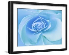 Close-Up of a Blue Rose-Adam Jones-Framed Photographic Print