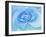 Close-Up of a Blue Rose-Adam Jones-Framed Photographic Print