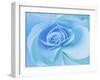 Close-Up of a Blue Rose-Adam Jones-Framed Photographic Print