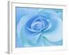 Close-Up of a Blue Rose-Adam Jones-Framed Photographic Print