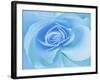 Close-Up of a Blue Rose-Adam Jones-Framed Photographic Print