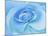 Close-Up of a Blue Rose-Adam Jones-Mounted Photographic Print