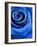 Close-Up of a Blue Rose-Alaya Gadeh-Framed Photographic Print