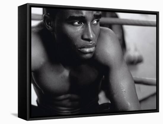 Close-up of a Boxer Sitting in the Corner of a Ring-null-Framed Stretched Canvas