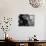 Close-up of a Boxer Sitting in the Corner of a Ring-null-Photographic Print displayed on a wall