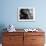 Close-up of a Boxer Sitting in the Corner of a Ring-null-Framed Photographic Print displayed on a wall