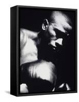 Close-up of a Boxer-null-Framed Stretched Canvas