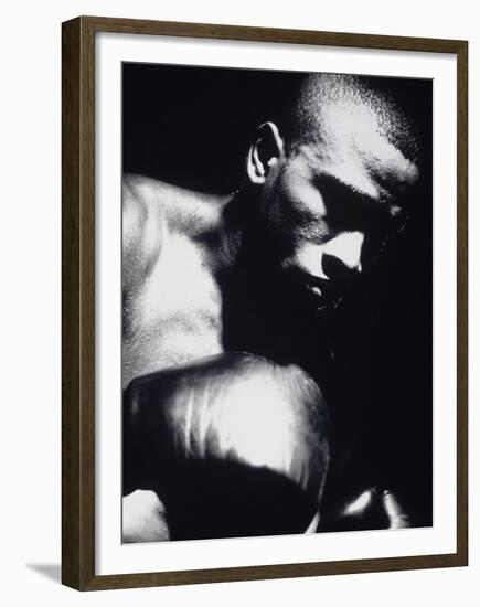 Close-up of a Boxer-null-Framed Premium Photographic Print