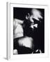 Close-up of a Boxer-null-Framed Premium Photographic Print