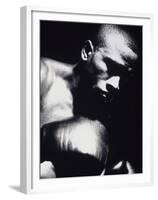 Close-up of a Boxer-null-Framed Premium Photographic Print