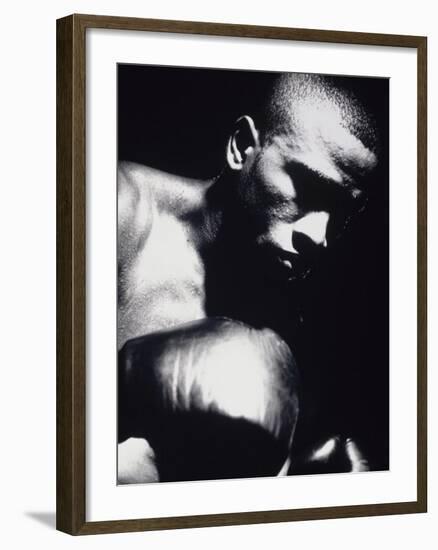 Close-up of a Boxer-null-Framed Premium Photographic Print