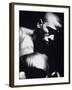 Close-up of a Boxer-null-Framed Photographic Print