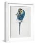 Close-Up of a Budgerigar Perching on a Branch and Scratching its Head (Melopsittacus Undulatus)-null-Framed Giclee Print