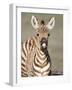 Close-Up of a Burchell's Zebra Foal, Ngorongoro Crater, Ngorongoro, Tanzania-null-Framed Photographic Print