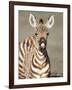 Close-Up of a Burchell's Zebra Foal, Ngorongoro Crater, Ngorongoro, Tanzania-null-Framed Photographic Print