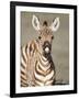 Close-Up of a Burchell's Zebra Foal, Ngorongoro Crater, Ngorongoro, Tanzania-null-Framed Photographic Print