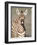 Close-Up of a Burchell's Zebra Foal, Ngorongoro Crater, Ngorongoro, Tanzania-null-Framed Photographic Print