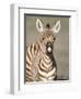 Close-Up of a Burchell's Zebra Foal, Ngorongoro Crater, Ngorongoro, Tanzania-null-Framed Photographic Print